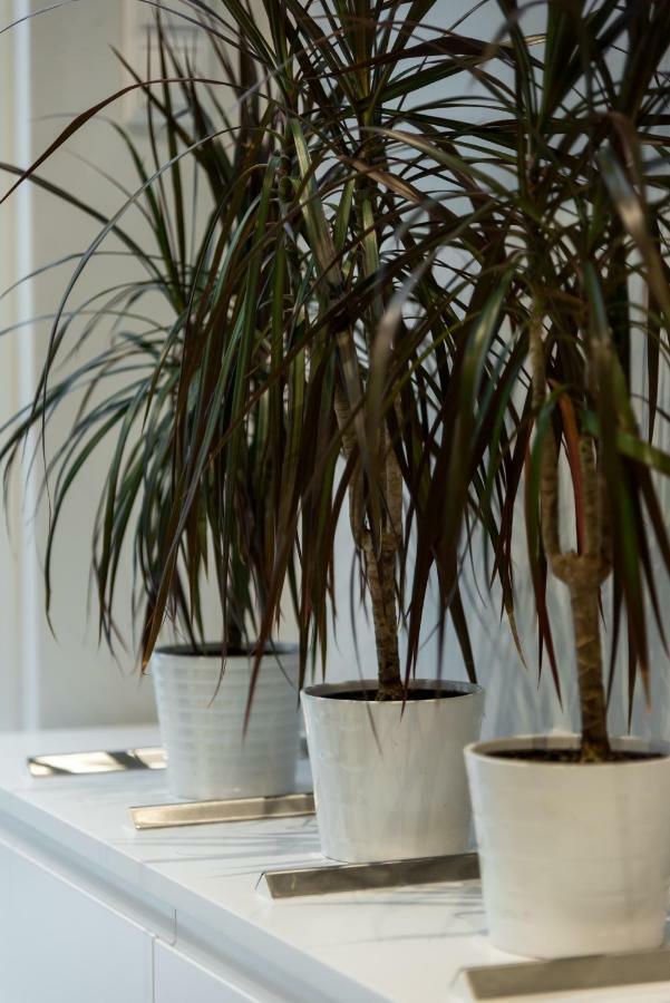 Central Cozy Studio With A Secret Garden Athena Bagian luar foto